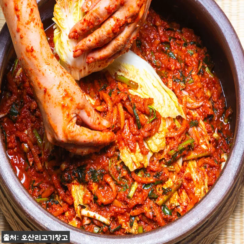 국산포기김치 5kg 오산리고기창고 특 관련 이미지 2