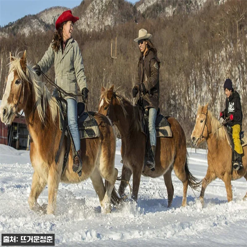 홋카이도 삿포로 스노 호스 라이딩 체 관련 이미지 2