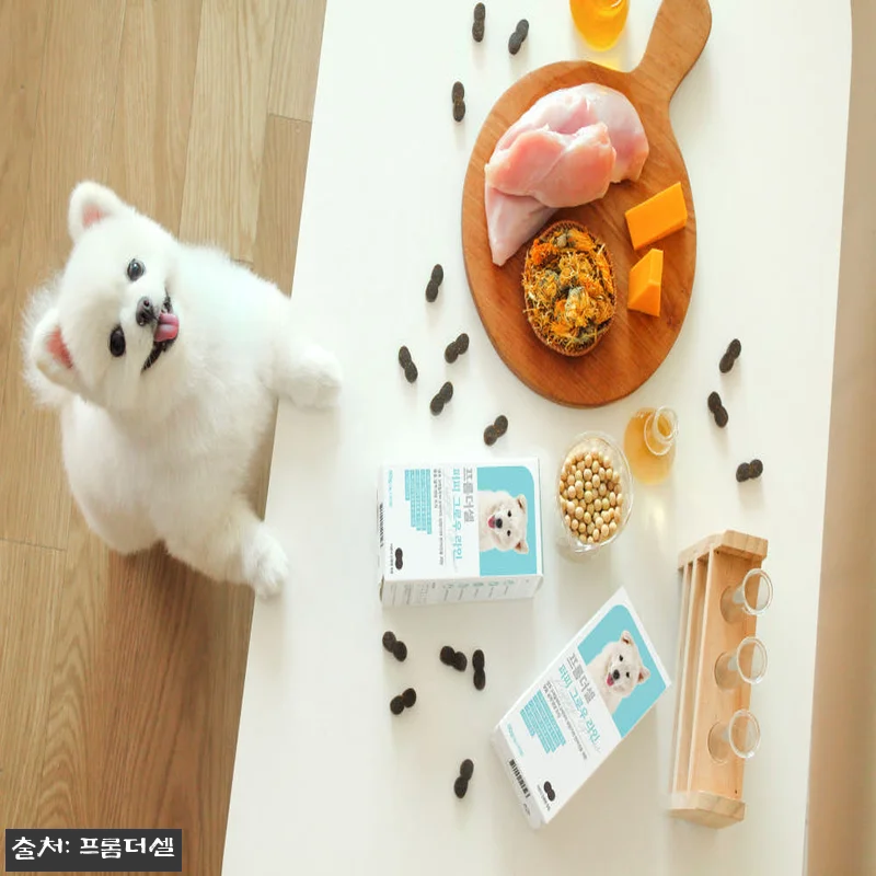 프롬더셀 강아지 퍼피전용 종합영양제 관련 이미지 2