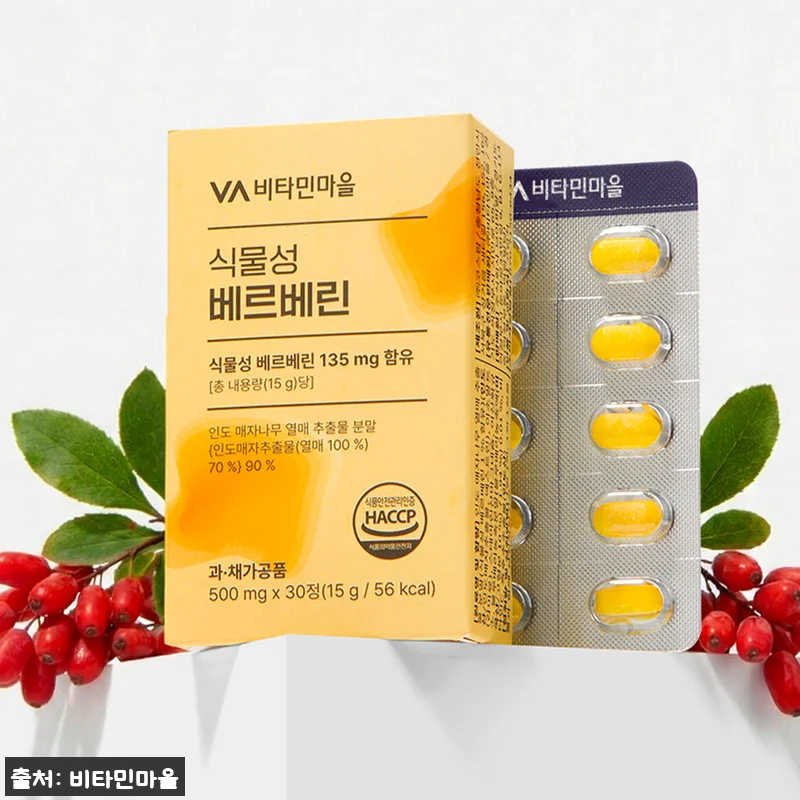 비타민마을 식물성 베르베린 6개월분 관련 이미지 2