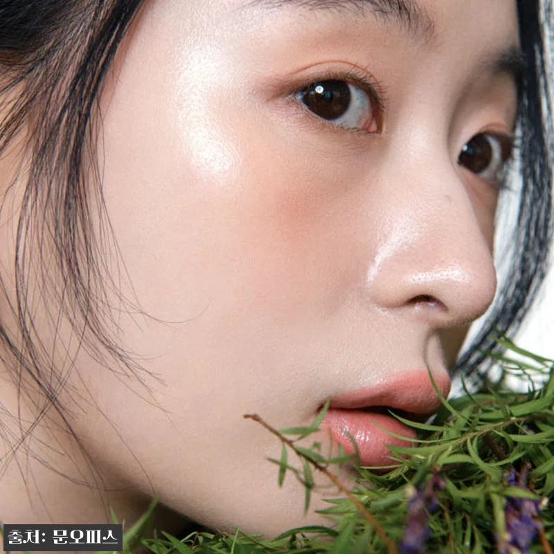 문오피스 비건 니치퍼퓸 바디케어 세트 관련 이미지 3
