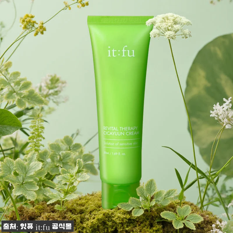 시카 세라마이드 시카윤 크림 50ml 관련 이미지 2