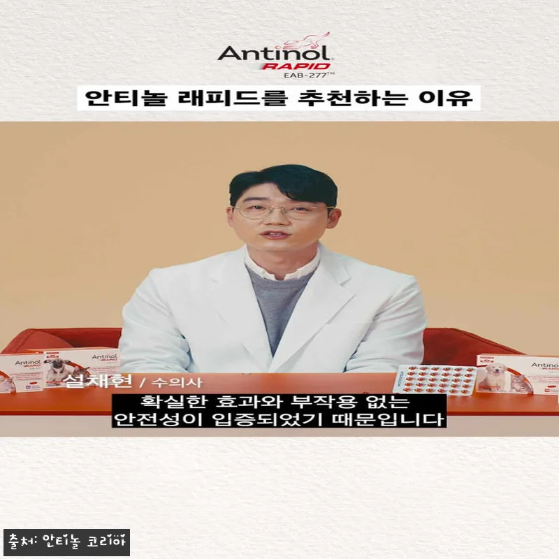 안티놀 래피드 강아지 고양이 관절 슬 관련 이미지 2