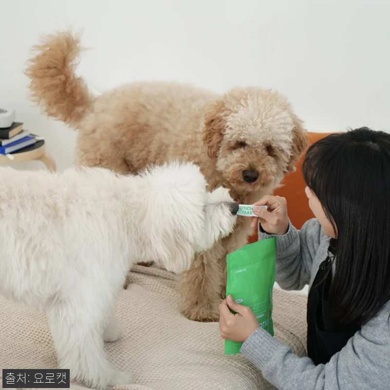 요로캣 펫전용 혈당관리 유산균 30개 관련 이미지 3