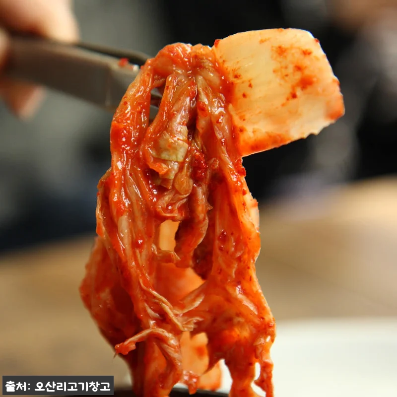 국산포기김치 5kg 오산리고기창고 특 관련 이미지 4