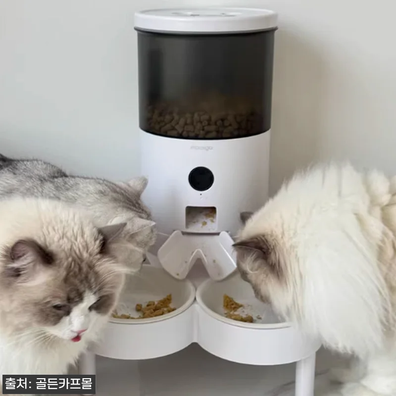 묘향가 진공 강아지 고양이 자동급식기 관련 이미지 1