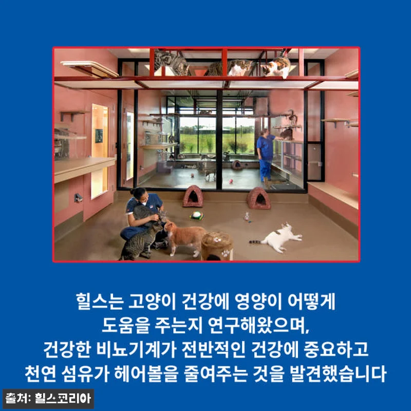 힐스 고양이사료 어덜트 유리너리 헤어 관련 이미지 5