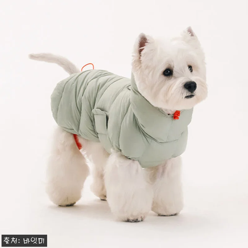 바잇미 LATTA 강아지패딩 강아지겨 관련 이미지 4