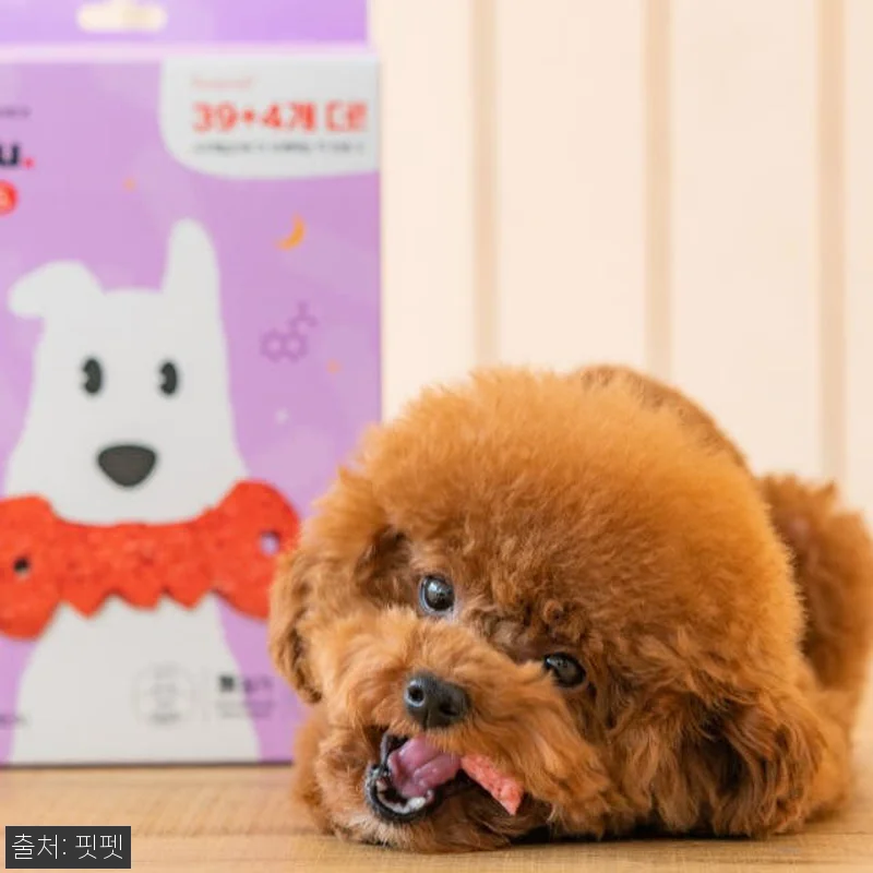 잇츄 오리지널 79개입 2+2 강아지 관련 이미지 7