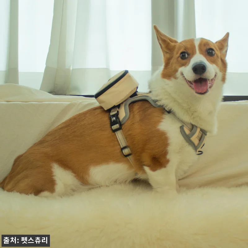 펫스츄리 강아지 가방 하네스 자수 이 관련 이미지 6