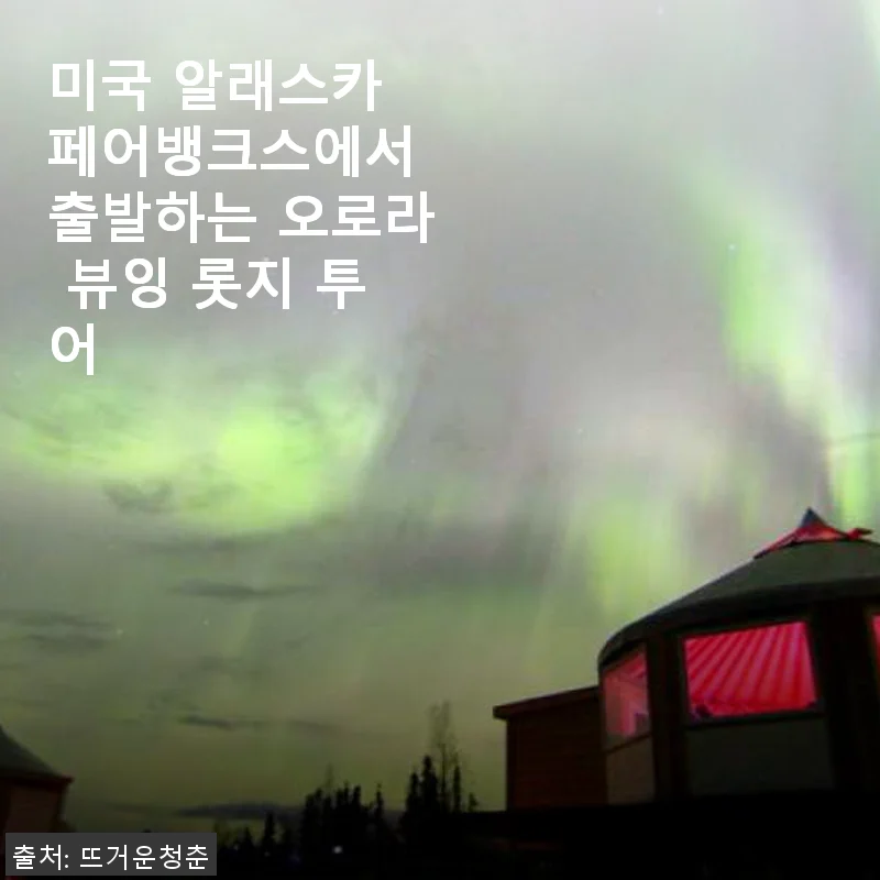 알래스카 페어뱅크스 오로라 뷰잉 롯지 투어 사용후기