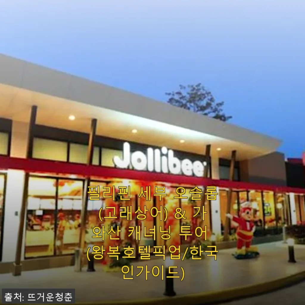 필리핀 세부 오슬롭 고래상어 & 가와산 캐녀닝 투어, 직접 경험한 리얼 후기