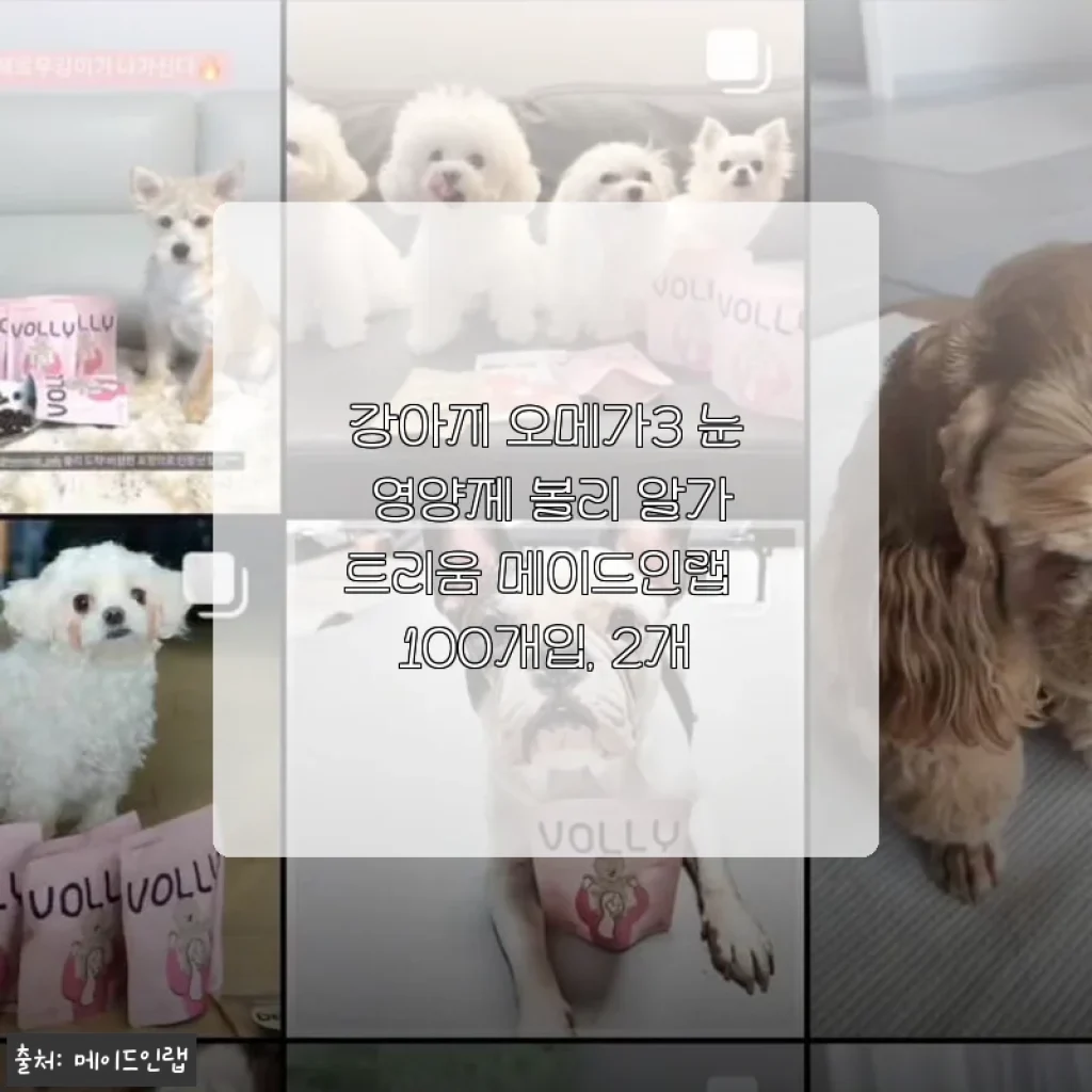 볼리 알가트리움 강아지 오메가3 눈 영양제 100개입 2개 세트 사용후기