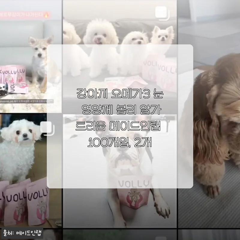 볼리 알가트리움 강아지 오메가3 눈 영양제 100개입 2개 세트 사용후기