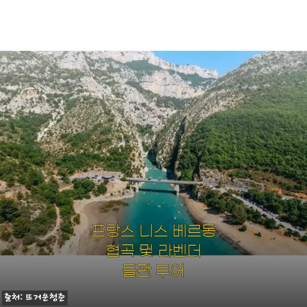 프랑스 니스 베르동 협곡 및 라벤더 들판 투어 후기: 자연과 휴식을 한 번에