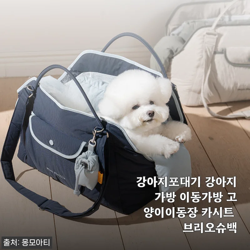 몽모아티 브리오슈백 강아지포대기 사용 후기, 디자인과 편안함 모두 잡은 이동가방