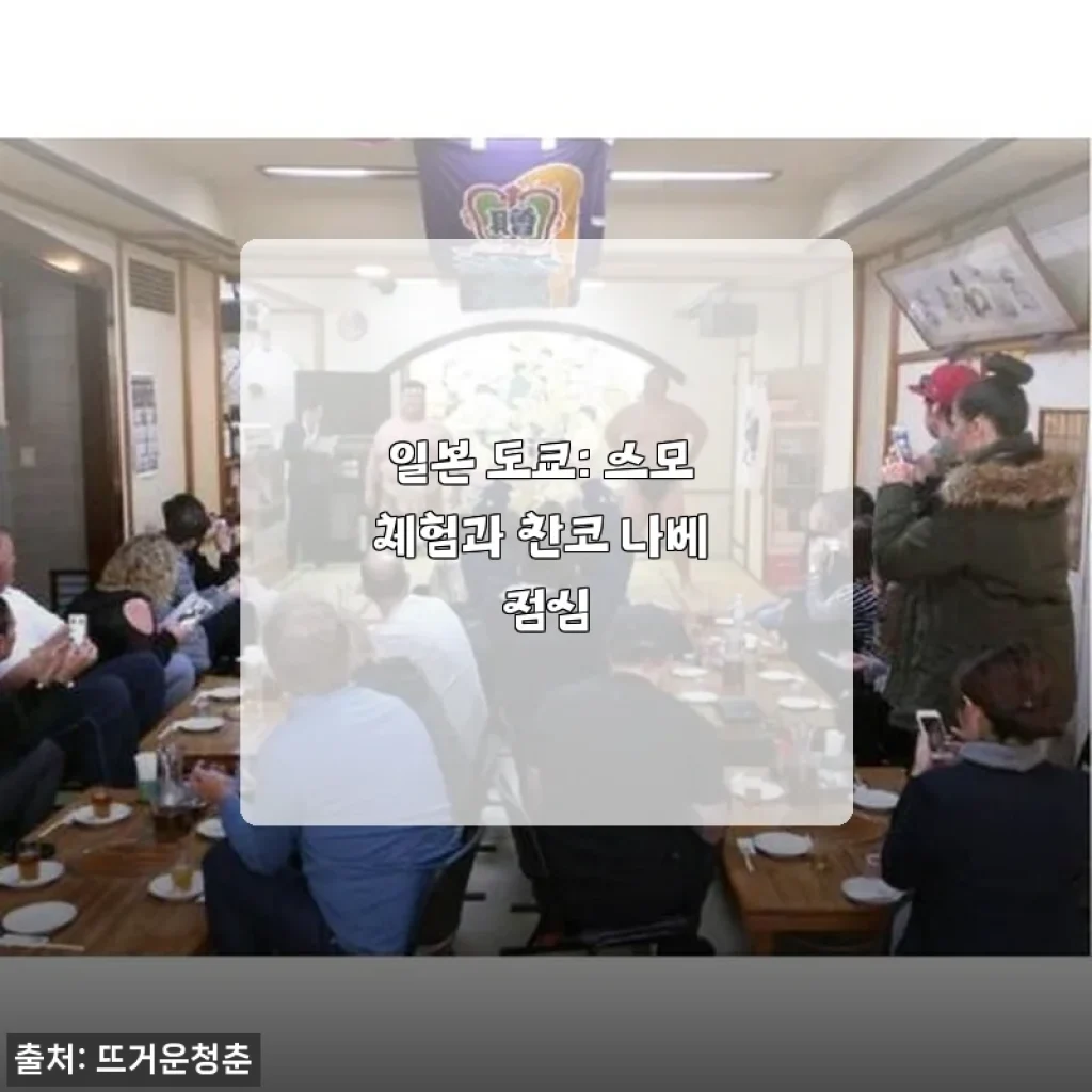 일본 도쿄 스모 체험과 찬코 나베 점심 사용후기