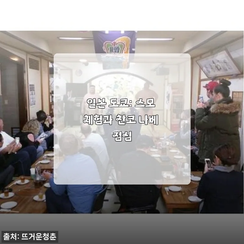 일본 도쿄 스모 체험과 찬코 나베 점심 사용후기