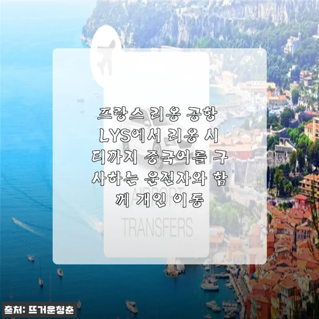 프랑스 리옹 공항에서 리옹 시티까지 중국어 구사 운전자와 함께한 개인 이동 후기