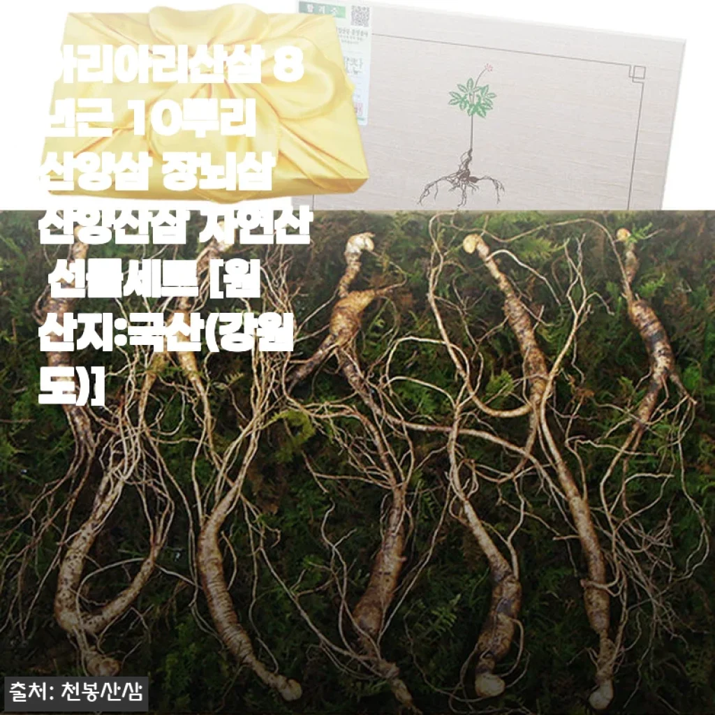 아리아리산삼 8년근 10뿌리 산양삼 장뇌삼 산양산삼 자연산 선물세트 사용후기