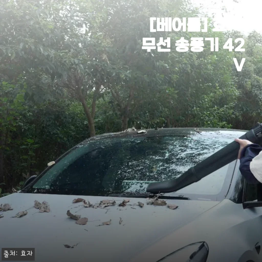 베어툴 효자 무선 송풍기 42V 사용후기: 낙엽 청소에 딱 맞는 무선 송풍기