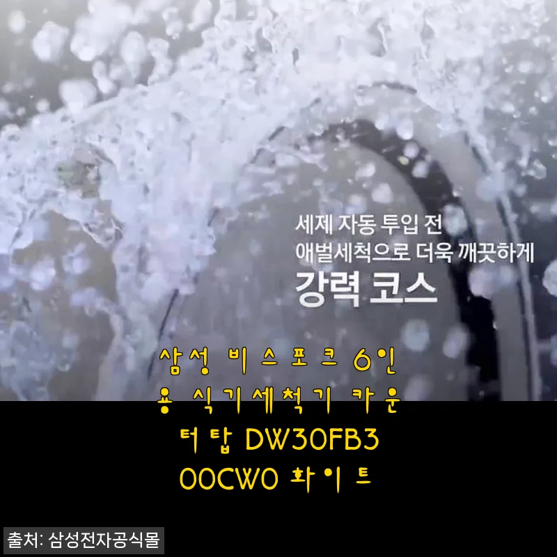 삼성 비스포크 6인용 식기세척기 DW30FB300CW0 사용후기