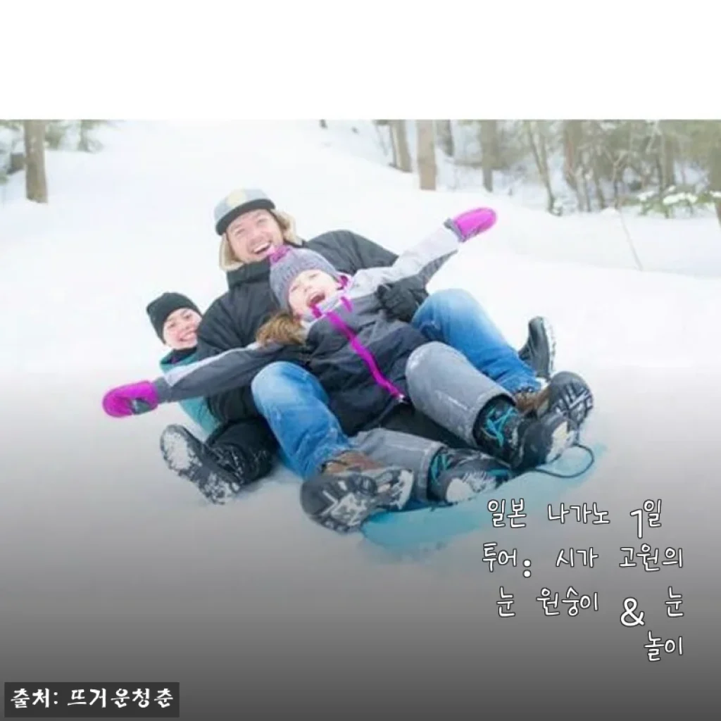 일본 나가노 1일 투어 후기: 시가 고원의 눈 원숭이와 눈 놀이 체험
