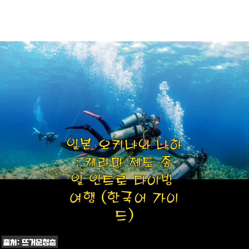 일본 오키나와 나하 케라마 제도 종일 인트로 다이빙 여행 사용후기