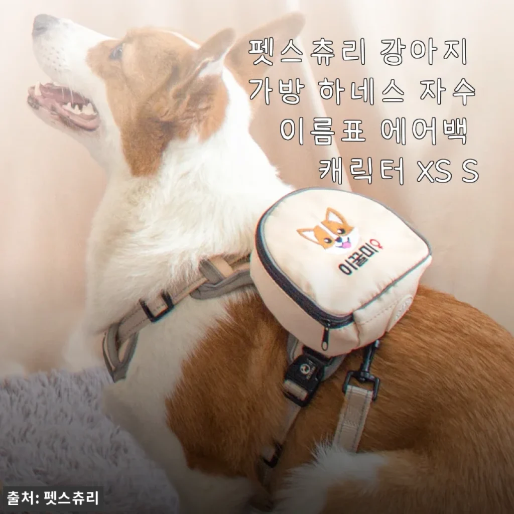 펫스츄리 강아지 가방 하네스 자수 이름표 에어백 캐릭터 XS S 사용후기