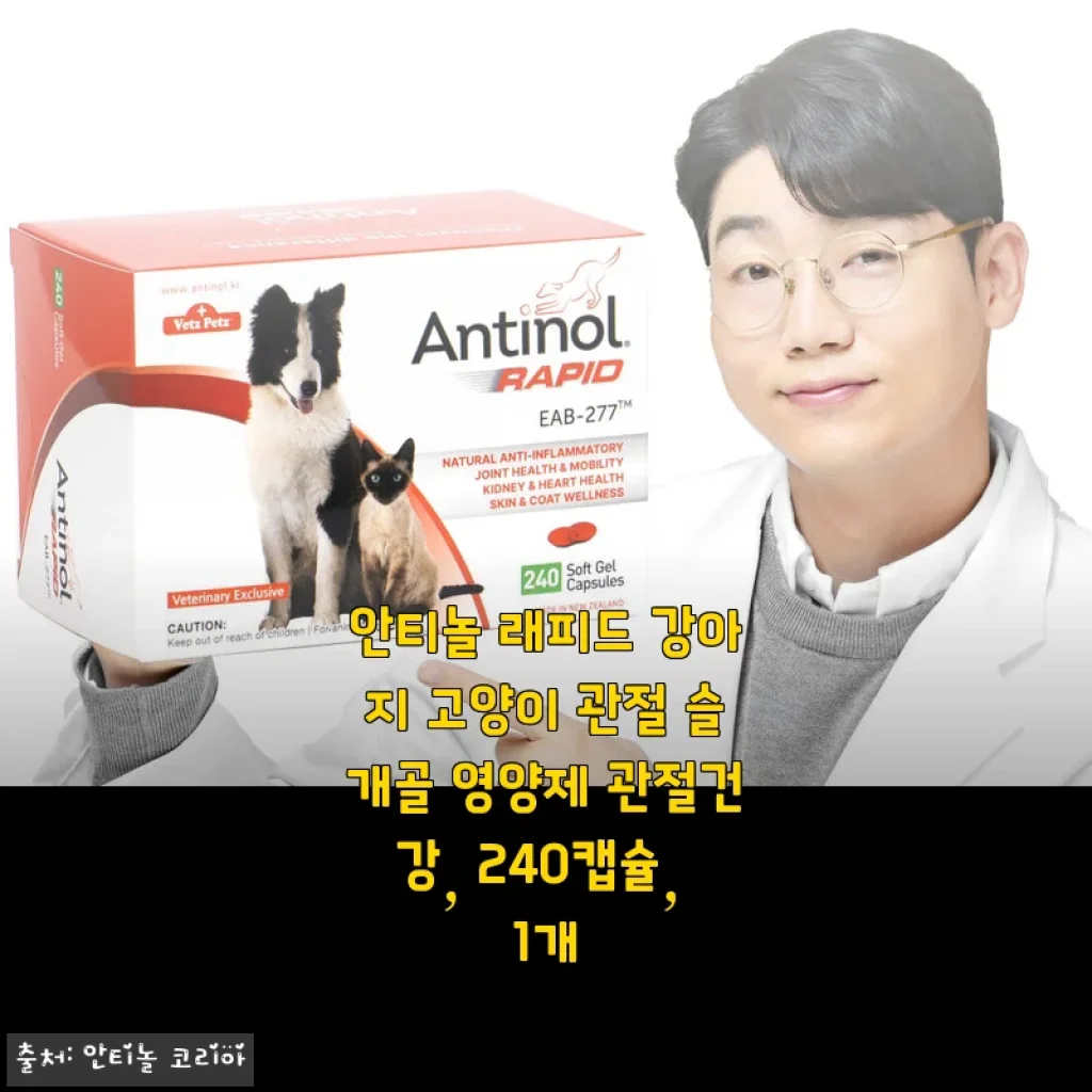 안티놀 래피드 강아지 고양이 관절 슬개골 영양제 사용후기: 꾸준한 관리로 반려동물 건강 지키기