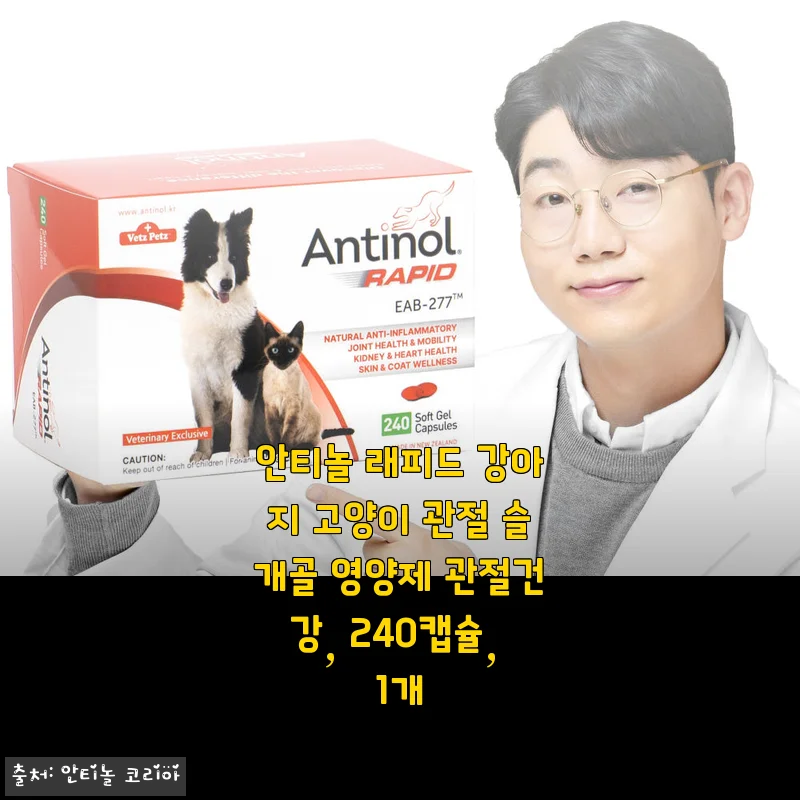 안티놀 래피드 강아지 고양이 관절 슬개골 영양제 사용후기: 꾸준한 관리로 반려동물 건강 지키기