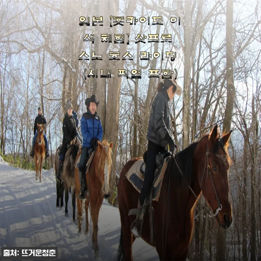 홋카이도 삿포로 스노 호스 라이딩 체험 후기 및 할인 정보
