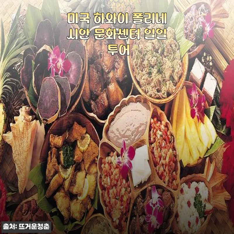미국 하와이 폴리네시안 문화센터 일일 투어 사용후기 및 자세한 안내