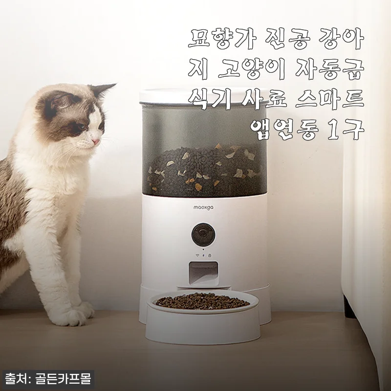 묘향가 진공 강아지 고양이 자동급식기 사용후기 - 스마트 앱 연동과 신선함이 돋보이는 1구 모델
