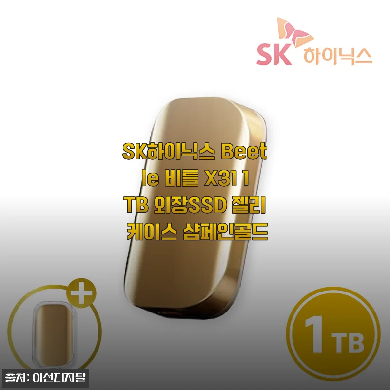 SK하이닉스 Beetle 비틀 X31 1TB 외장SSD 젤리 케이스 샴페인골드 사용후기