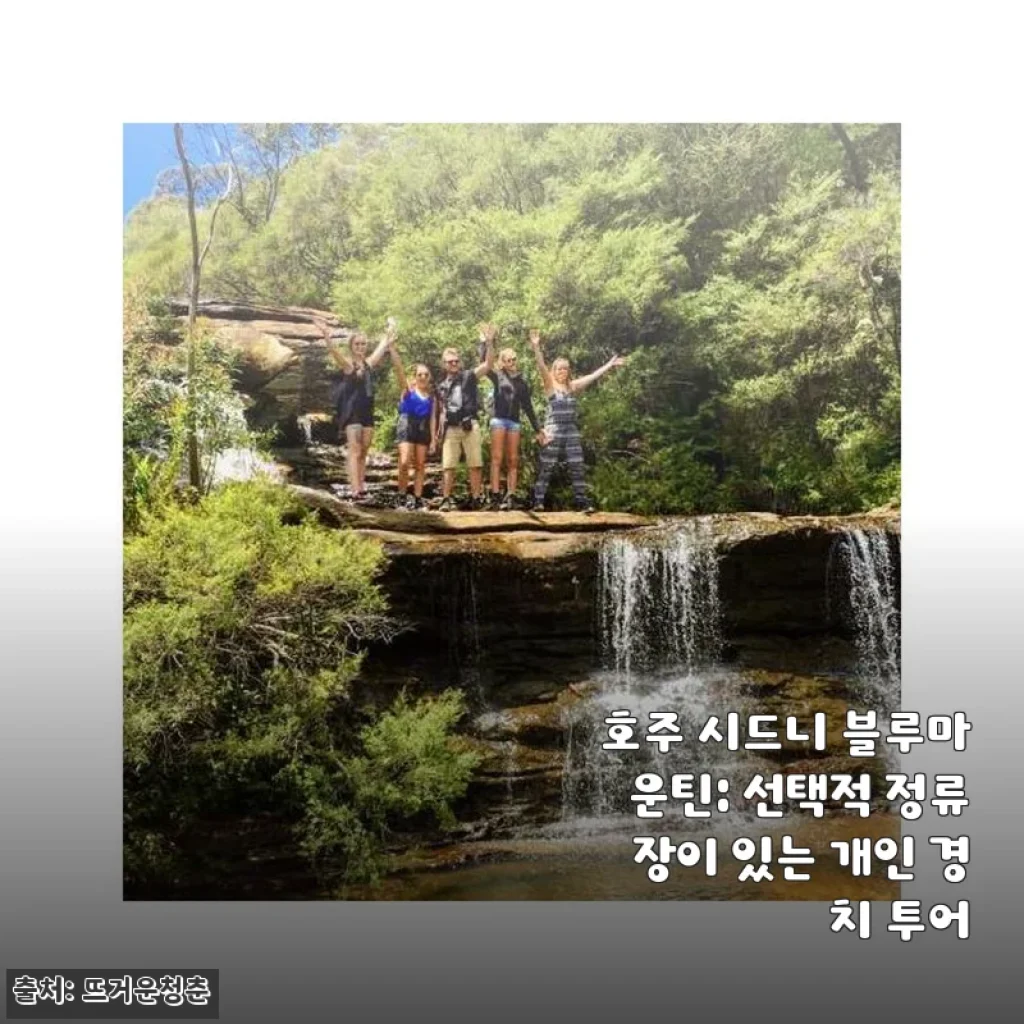 호주 시드니 블루마운틴 선택적 정류장 개인 경치 투어 사용후기