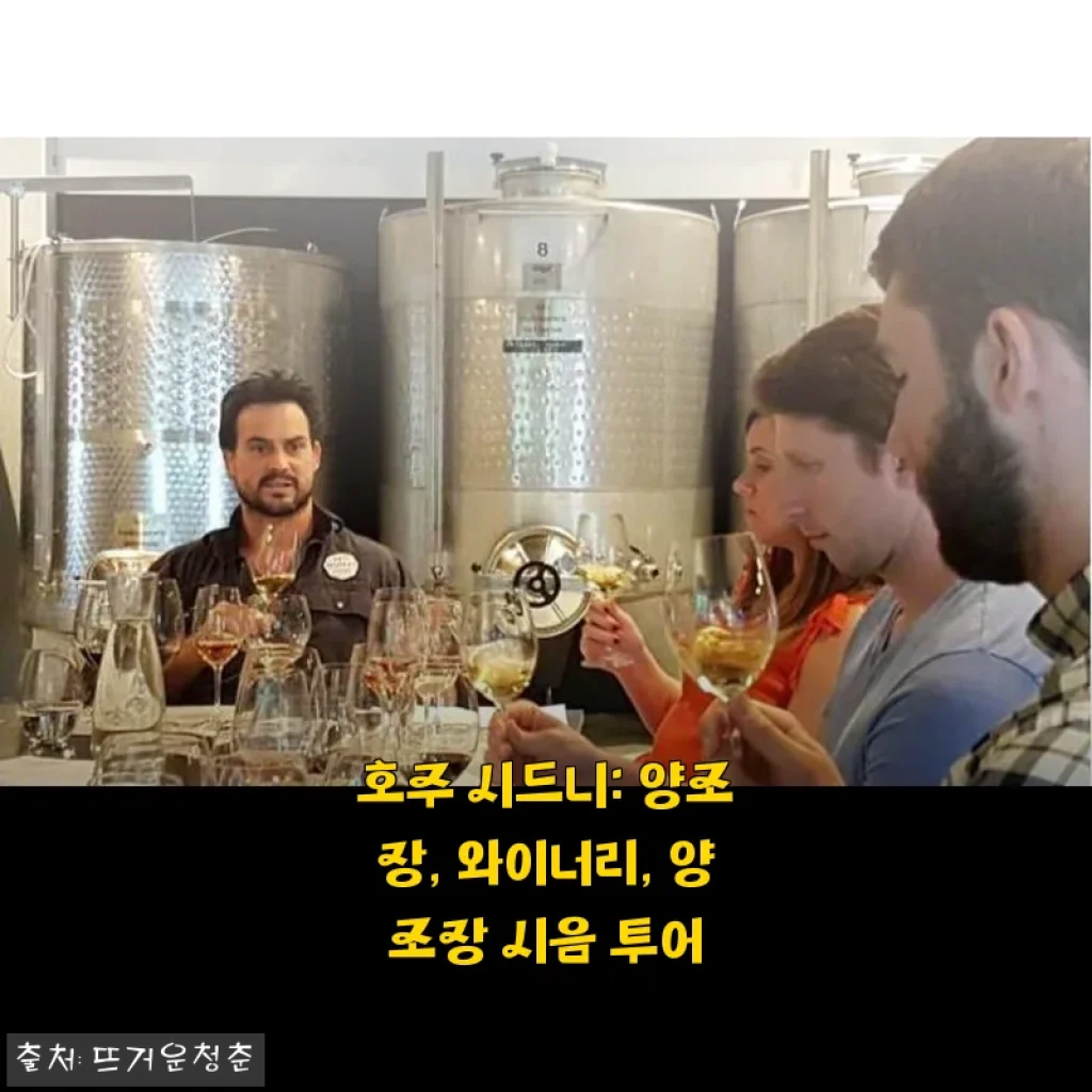 호주 시드니 양조장, 와이너리, 양조장 시음 투어 체험 후기