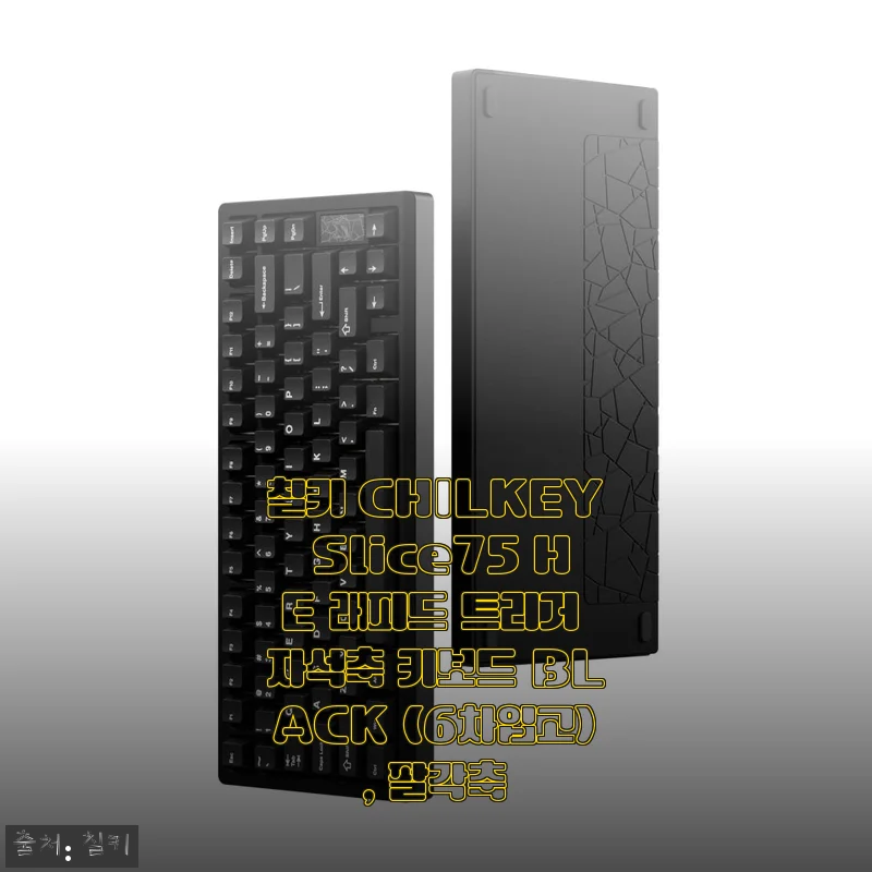 칠키 CHILKEY Slice75 HE 래피드 트리거 자석축 키보드 BLACK 사용후기