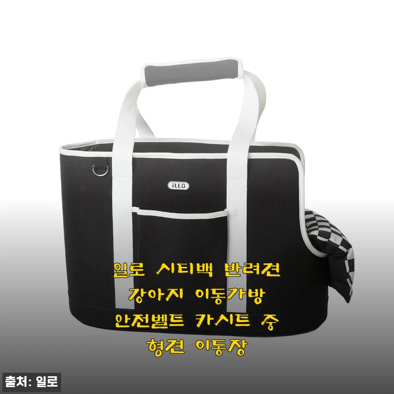 일로 시티백 반려견 강아지 이동가방 사용후기: 중형견도 편안한 디자인과 실용성