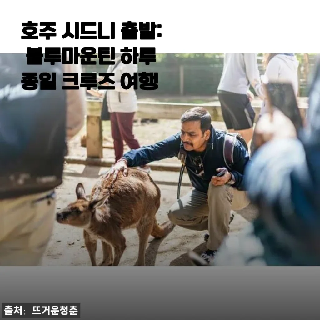호주 시드니 출발 블루마운틴 하루 종일 크루즈 여행 사용후기