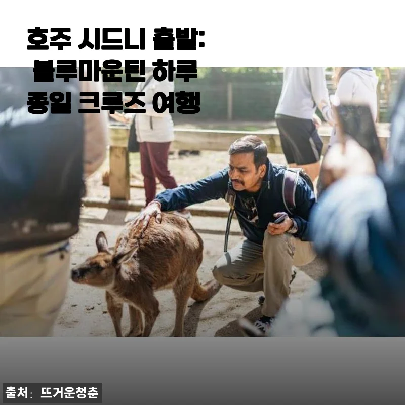 호주 시드니 출발 블루마운틴 하루 종일 크루즈 여행 사용후기
