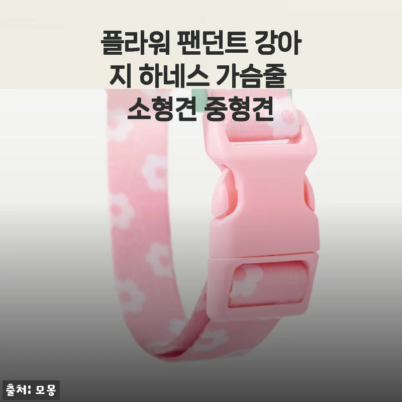 플라워 팬던트 강아지 하네스 가슴줄 사용 후기와 구매 팁
