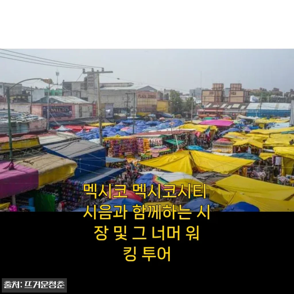 멕시코 멕시코시티 시음과 함께하는 시장 및 그 너머 워킹 투어 후기