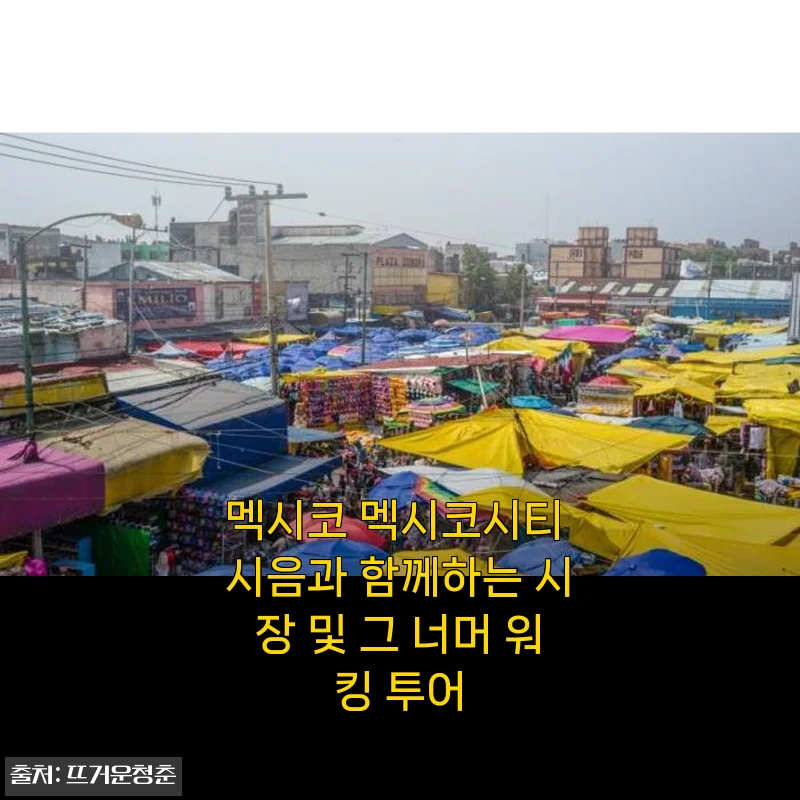 멕시코 멕시코시티 시음과 함께하는 시장 및 그 너머 워킹 투어 후기