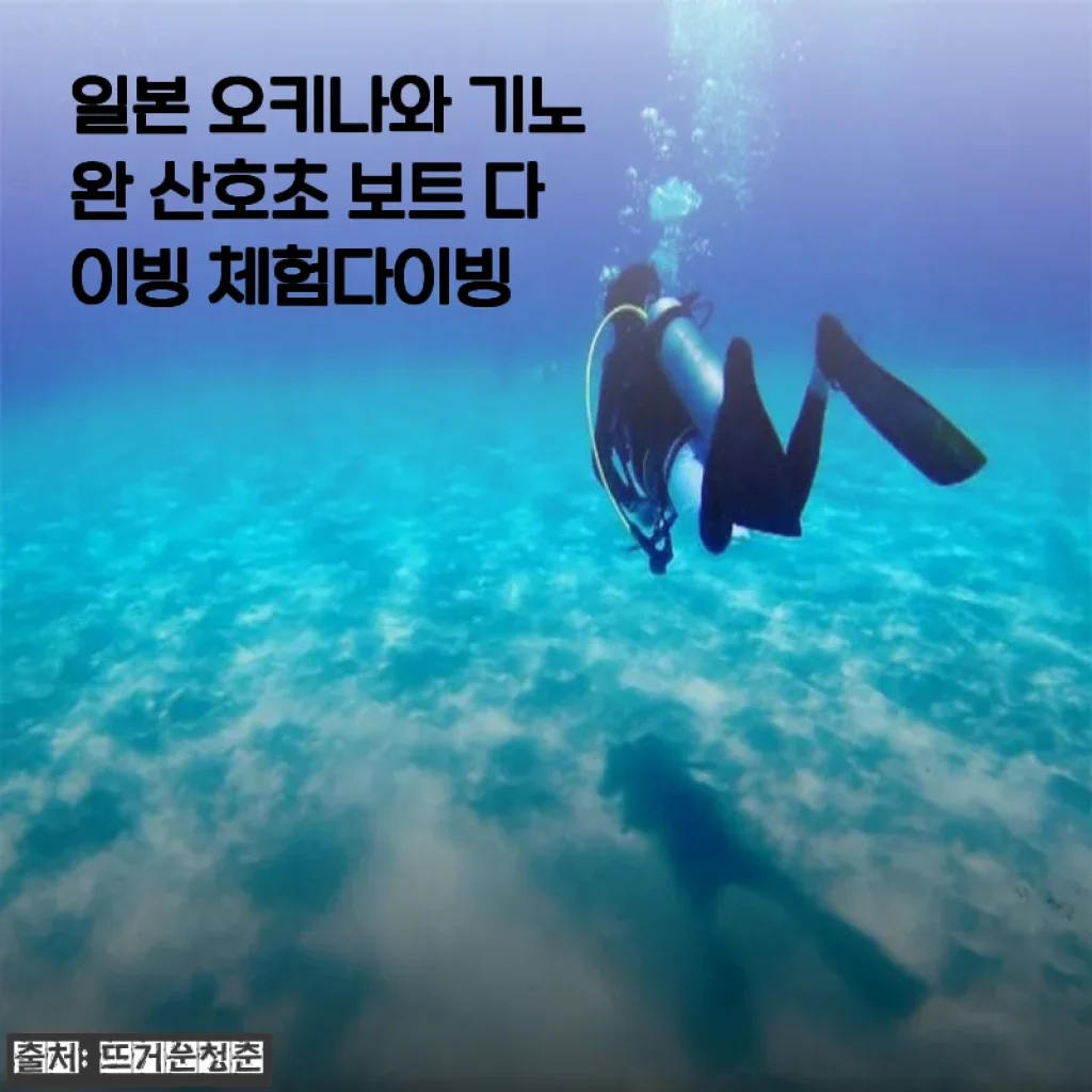 일본 오키나와 기노완 산호초 보트 다이빙 체험 후기