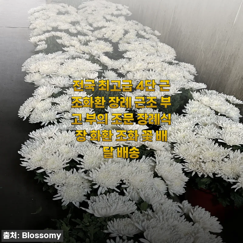 전국 최고급 4단 근조화환 사용후기와 상세 소개