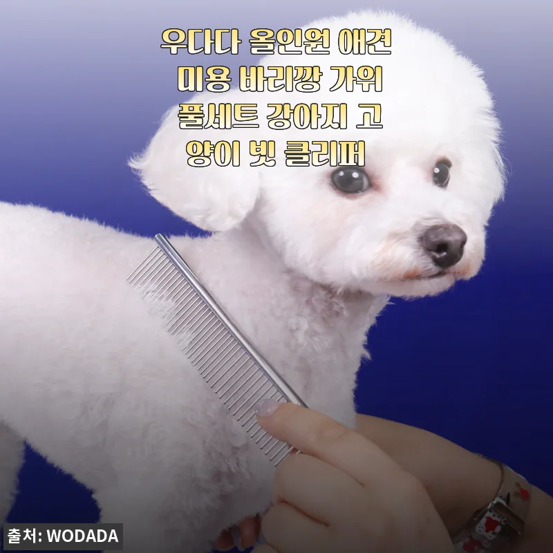 우다다 올인원 애견 미용 바리깡 가위 풀세트 사용후기: 반려동물 털관리 완전 편해졌어요!