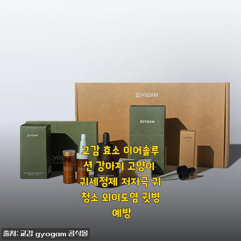 교감 효소 이어솔루션 강아지 고양이 귀세정제 사용후기와 솔직한 경험담