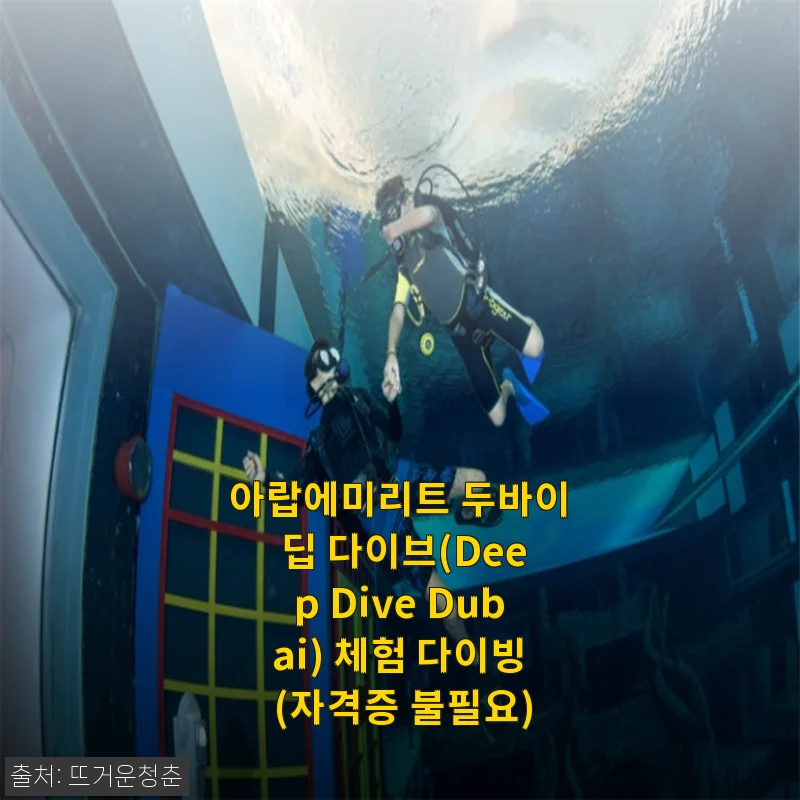 아랍에미리트 두바이 딥 다이브 체험 다이빙 후기와 상세 소개