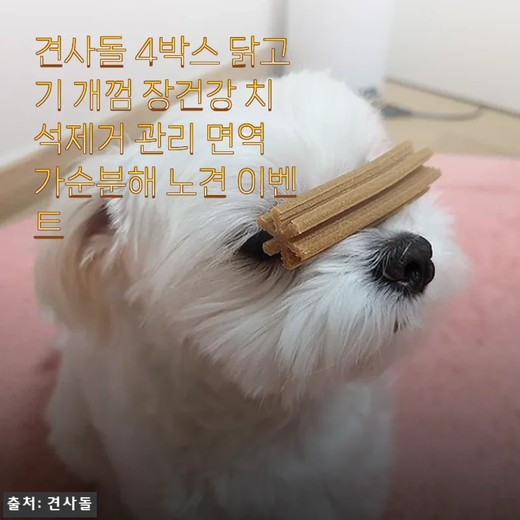 견사돌 4박스 닭고기 개껌 사용후기 - 장건강과 치석제거까지 챙기는 반려견 간식